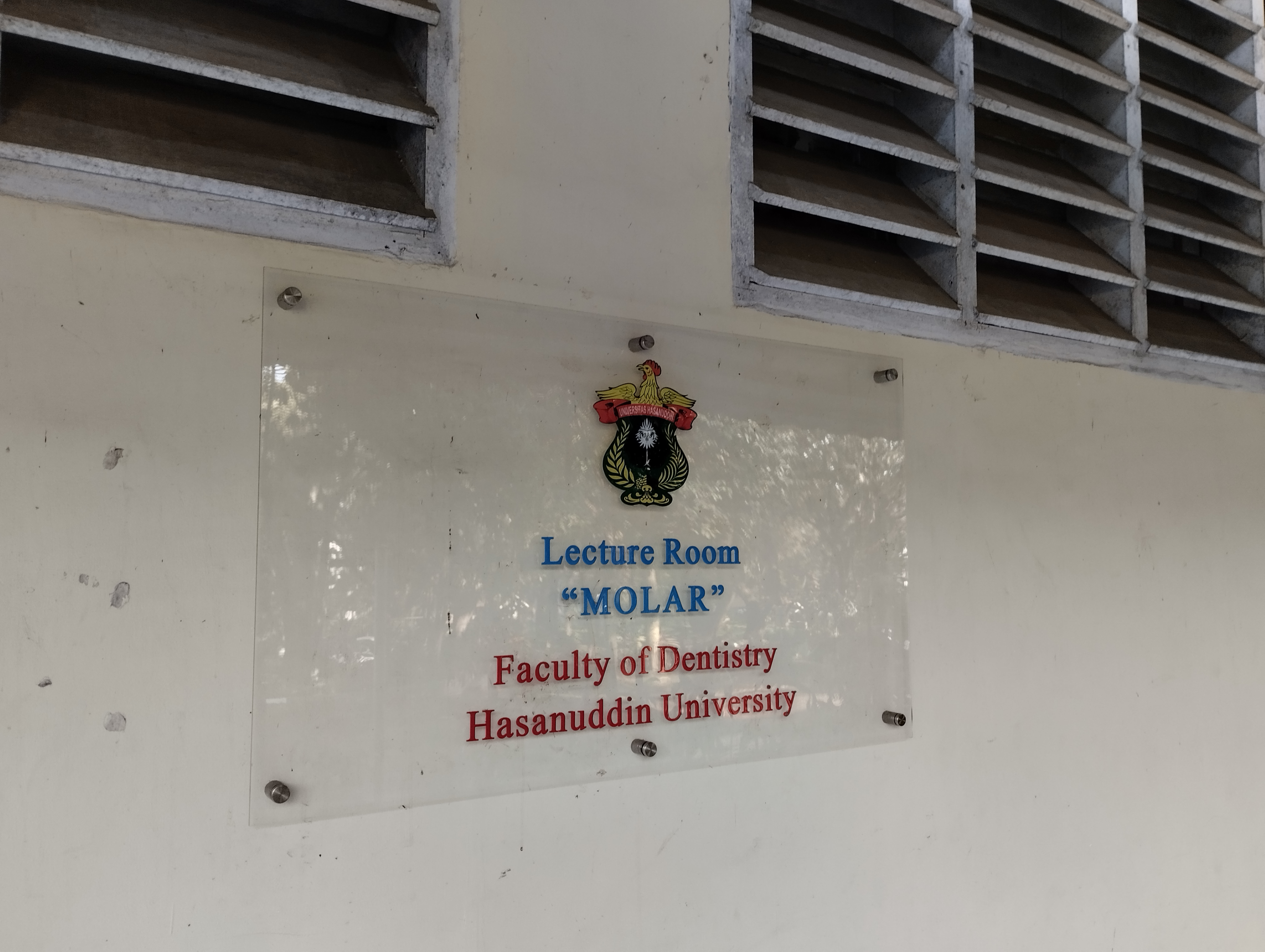 Premolar / Molar Hall