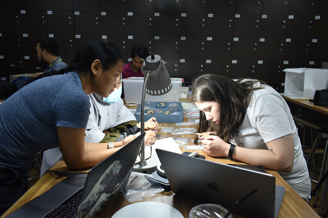 LAB_2035.JPG